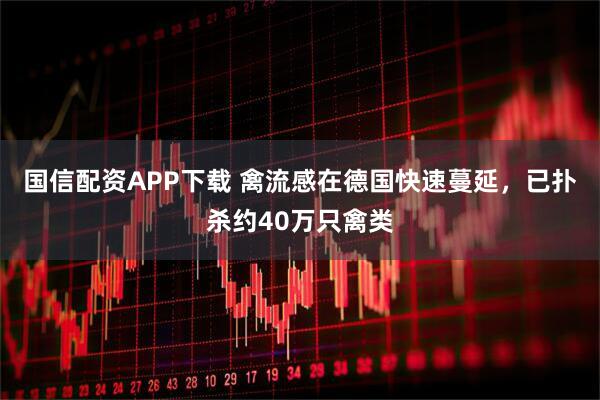 国信配资APP下载 禽流感在德国快速蔓延，已扑杀约40万只禽类