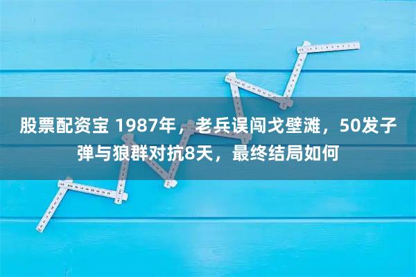 股票配资宝 1987年，老兵误闯戈壁滩，50发子弹与狼群对抗8天，最终结局如何